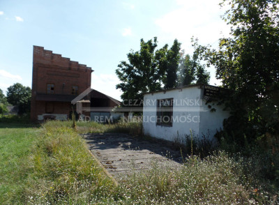 Na sprzedaż działka budowlana - Sawin -
lubelskie Zdjęcie nr 7