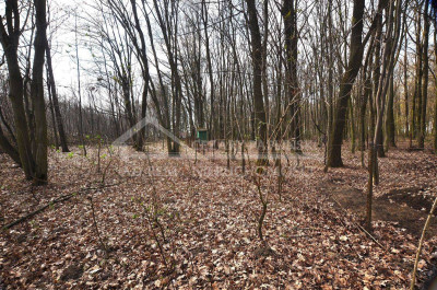 Na sprzedaż działka budowlana - Trojaczkowice -
lubelskie Zdjęcie nr 6