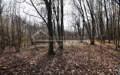 Na sprzedaż działka budowlana - Trojaczkowice -
lubelskie Zdjęcie nr 14