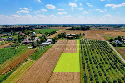 Na sprzedaż działka budowlana - Sieprawice -
lubelskie Zdjęcie nr 2