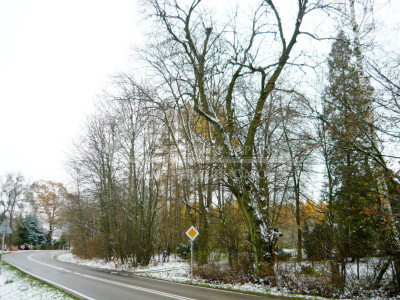 Na sprzedaż działka budowlana - Tomaszowice-Kolonia -
lubelskie Zdjęcie nr 7