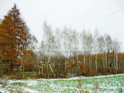 Na sprzedaż działka budowlana - Tomaszowice-Kolonia -
lubelskie Zdjęcie nr 9