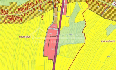 Na sprzedaż działka inwestycyjna - Trzciniec -
lubelskie Zdjęcie nr 2