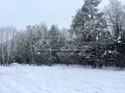 Na sprzedaż działka rekreacyjna - Wola Uhruska -
lubelskie Zdjęcie nr 3