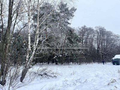 Na sprzedaż działka rekreacyjna - Wola Uhruska -
lubelskie Zdjęcie nr 4