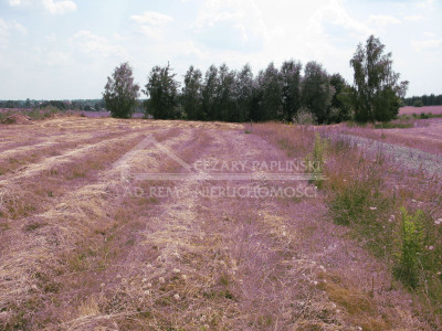 Na sprzedaż działka budowlana - Jastków -
lubelskie Zdjęcie nr 6