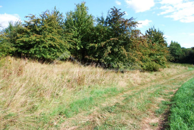 Na sprzedaż działka budowlana - Snopków -
lubelskie Zdjęcie nr 9