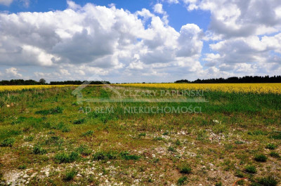 Na sprzedaż działka budowlana - Biała Podlaska -
lubelskie Zdjęcie nr 3