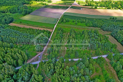 Na sprzedaż działka rolna - Uściąż -
lubelskie Zdjęcie nr 5