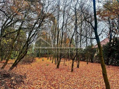 Na sprzedaż działka rolna - Konopnica -
lubelskie Zdjęcie nr 8