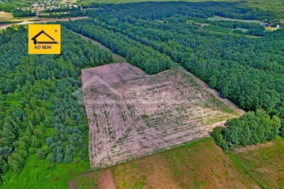 Na sprzedaż działka rolna - Uściąż - lubelskie