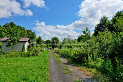 Na sprzedaż działka rekreacyjna - Sumin -
lubelskie Zdjęcie nr 8