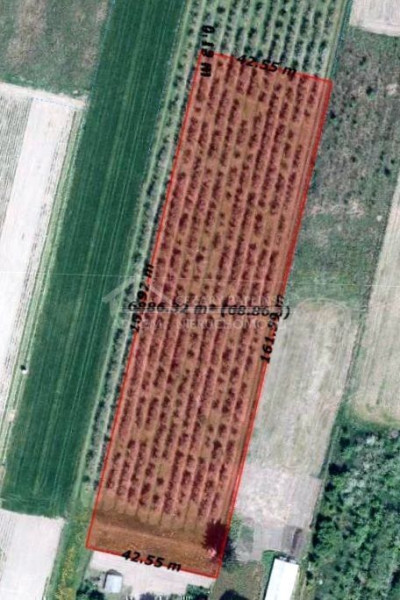 Na sprzedaż działka budowlana - Sławacinek Nowy -
lubelskie Zdjęcie nr 3