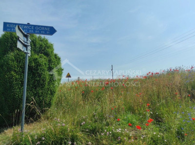 Na sprzedaż działka budowlana - Kiełczewice Górne -
lubelskie Zdjęcie nr 3