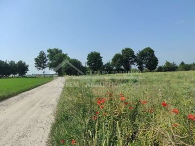 Na sprzedaż działka budowlana - Kiełczewice Górne -
lubelskie Zdjęcie nr 4