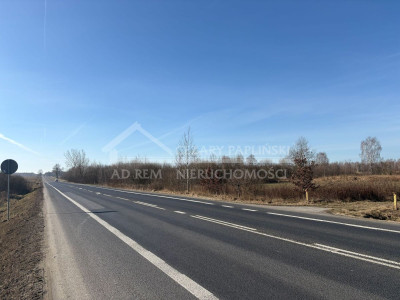 Na sprzedaż działka inwestycyjna - Trzciniec -
lubelskie Zdjęcie nr 9