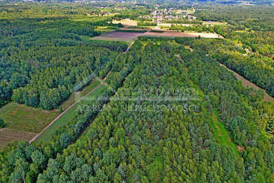 Na sprzedaż działka rolna - Uściąż -
lubelskie Zdjęcie nr 6