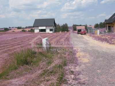 Na sprzedaż działka budowlana - Jastków -
lubelskie Zdjęcie nr 5