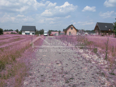 Na sprzedaż działka budowlana - Jastków -
lubelskie Zdjęcie nr 7