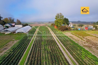 Na sprzedaż działka budowlana - Zezulin Niższy -
lubelskie Zdjęcie nr 4