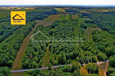 Na sprzedaż działka rolna - Uściąż - lubelskie