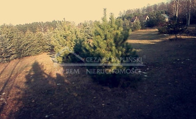 Na sprzedaż działka budowlana - Okuninka -
lubelskie Zdjęcie nr 2