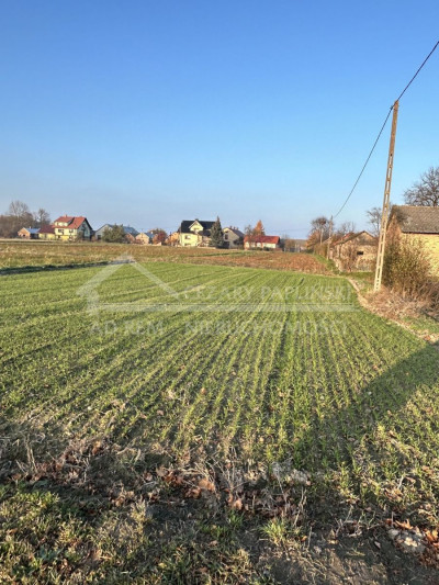 Na sprzedaż działka budowlana - Stasiówka -
lubelskie Zdjęcie nr 5