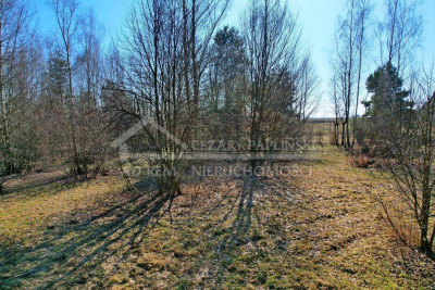 Na sprzedaż działka budowlana - Kębło -
lubelskie Zdjęcie nr 4
