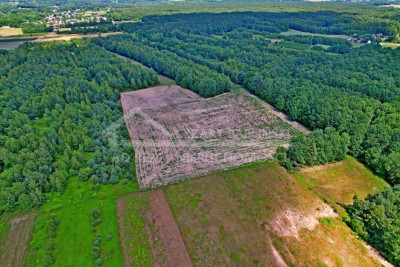 Na sprzedaż działka rolna - Uściąż -
lubelskie Zdjęcie nr 4