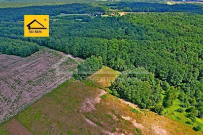 Na sprzedaż działka rekreacyjna - Uściąż -
lubelskie Zdjęcie nr 2