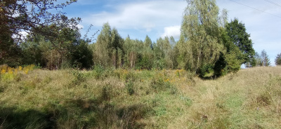 Działka nad jeziorem Pile w województwie zachodniopomorskim -
zachodniopomorskie Zdjęcie nr 8