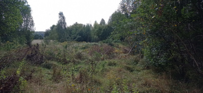Działka nad jeziorem Pile w województwie zachodniopomorskim -
zachodniopomorskie Zdjęcie nr 3