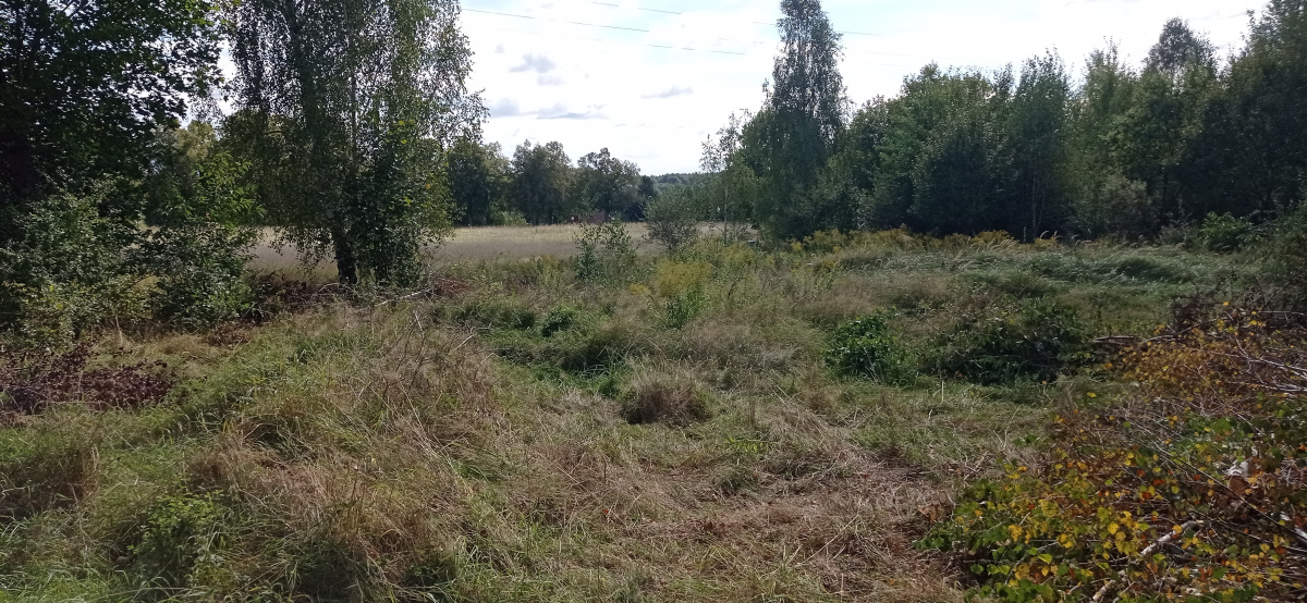 Działka nad jeziorem Pile w województwie zachodniopomorskim -
zachodniopomorskie Zdjęcie nr 1