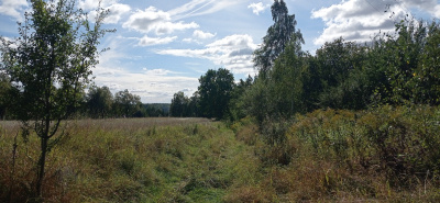 Działka nad jeziorem Pile w województwie zachodniopomorskim -
zachodniopomorskie Zdjęcie nr 7