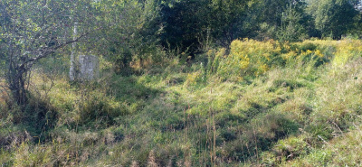 Działka nad jeziorem Pile w województwie zachodniopomorskim -
zachodniopomorskie Zdjęcie nr 9
