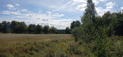 Działka nad jeziorem Pile w województwie zachodniopomorskim -
zachodniopomorskie Zdjęcie nr 4