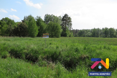 Na sprzedaż działka budowlana - Świdnica -
lubuskie Zdjęcie nr 2