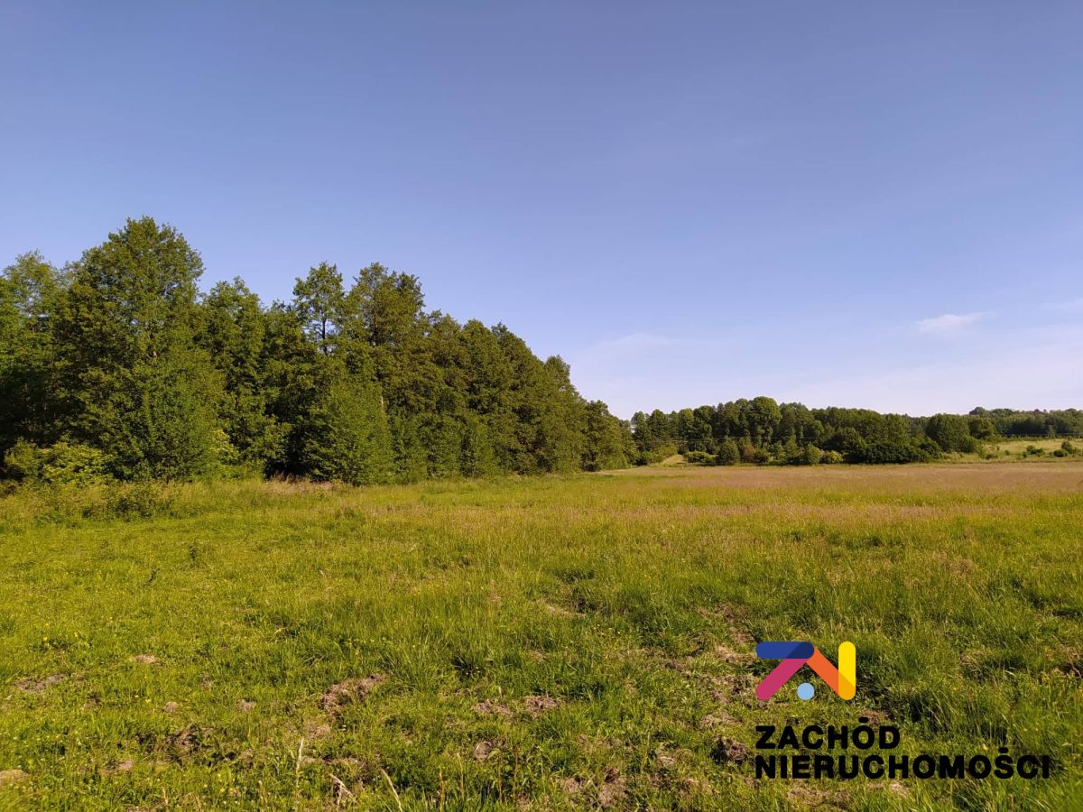 Na sprzedaż działka budowlana - Droszków -
lubuskie Zdjęcie nr 1