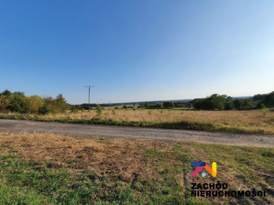 Na sprzedaż działka budowlana - Drągowina -
lubuskie Zdjęcie nr 10