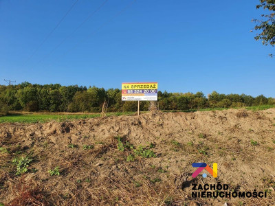 Na sprzedaż działka budowlana - Drągowina -
lubuskie Zdjęcie nr 15