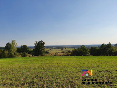 Na sprzedaż działka budowlana - Drągowina -
lubuskie Zdjęcie nr 4