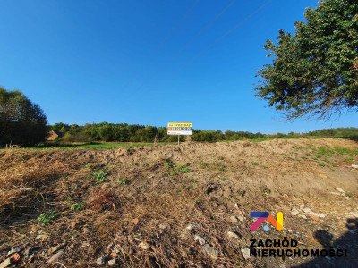 Na sprzedaż działka budowlana - Drągowina -
lubuskie Zdjęcie nr 5