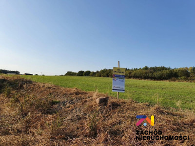 Na sprzedaż działka budowlana - Drągowina -
lubuskie Zdjęcie nr 6