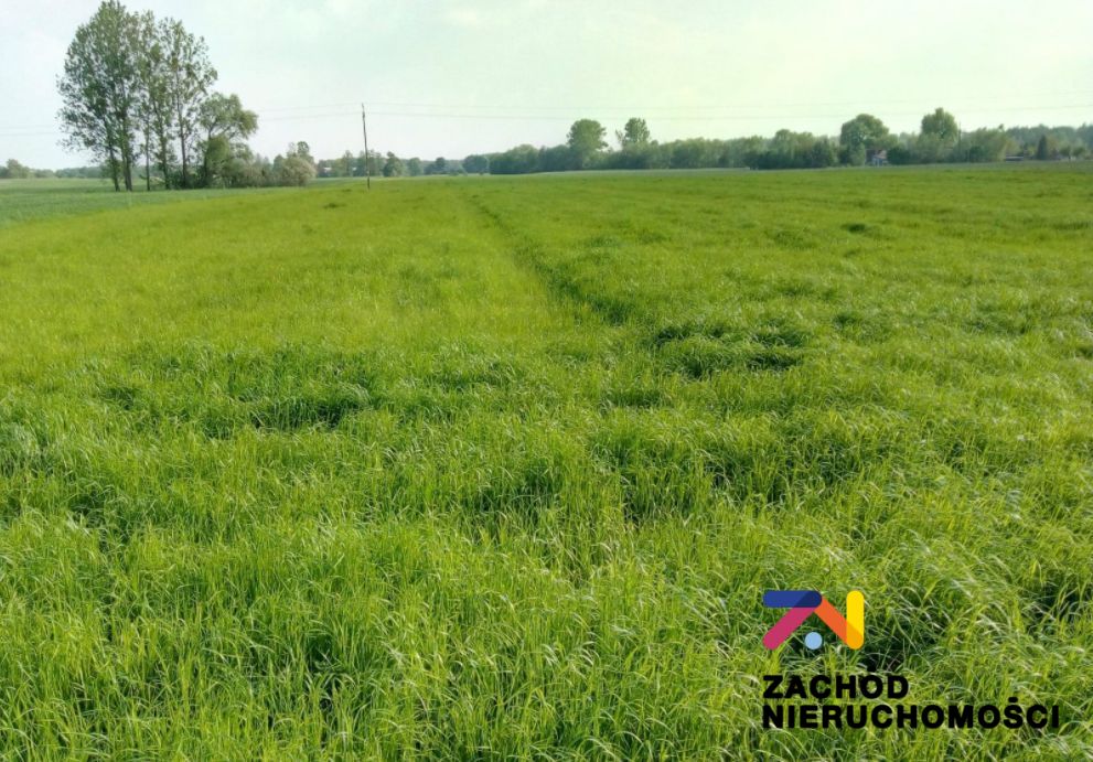 Na sprzedaż działka budowlana - Książ Śląski -
lubuskie Zdjęcie nr 1