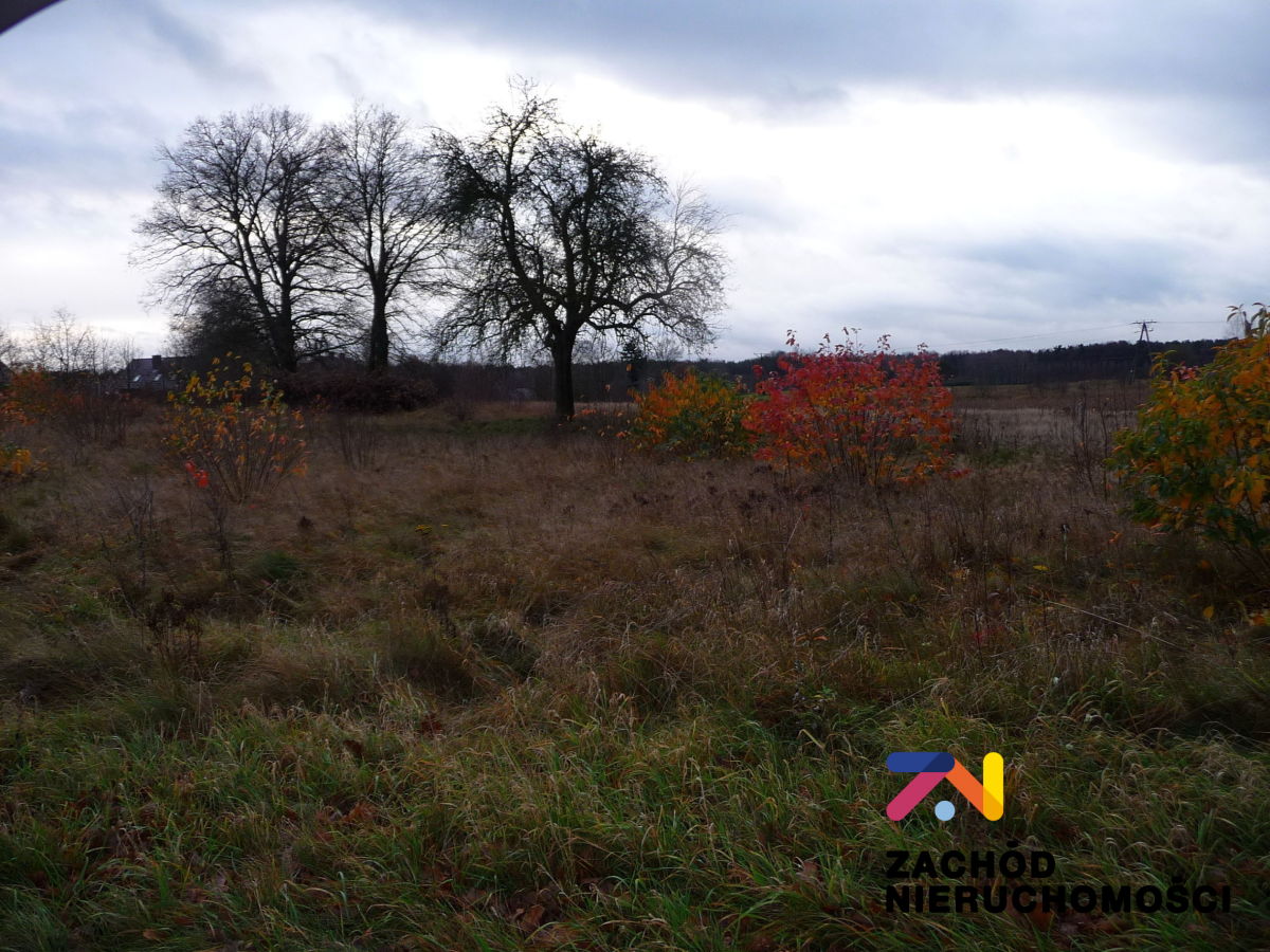 Na sprzedaż działka budowlana - Nowogród Bobrzański -
lubuskie Zdjęcie nr 1