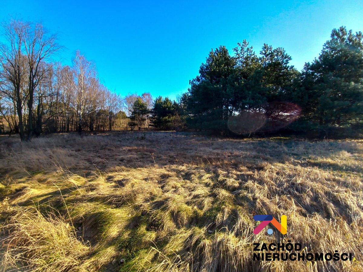 Na sprzedaż działka budowlana - Przytok -
lubuskie Zdjęcie nr 1
