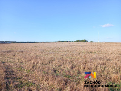 Na sprzedaż działka budowlana - Zabór -
lubuskie Zdjęcie nr 2