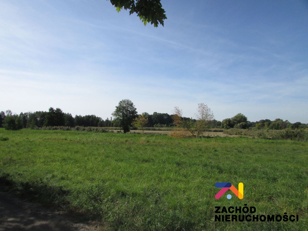 Na sprzedaż działka budowlana - Książ Śląski -
lubuskie Zdjęcie nr 1