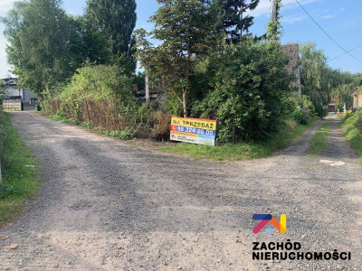 Na sprzedaż działka budowlana - Zielona Góra -
lubuskie Zdjęcie nr 7