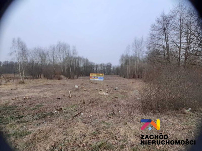 Na sprzedaż działka rolna - Mirocin Dolny -
lubuskie Zdjęcie nr 3